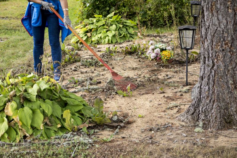 Local Clearing And Grading Service pros at work