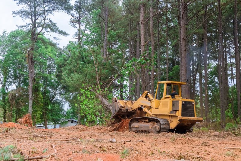 Site Cleaning in Cumming, GA
