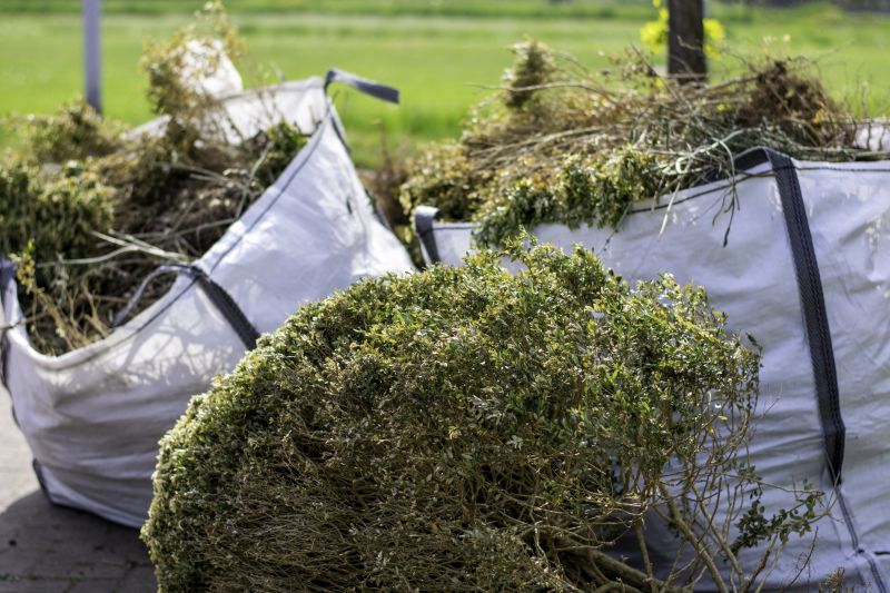 Bushes Clearing in Utah County, UT