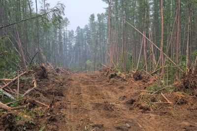 Commercial Site Clearing in Gwinnett County, GA