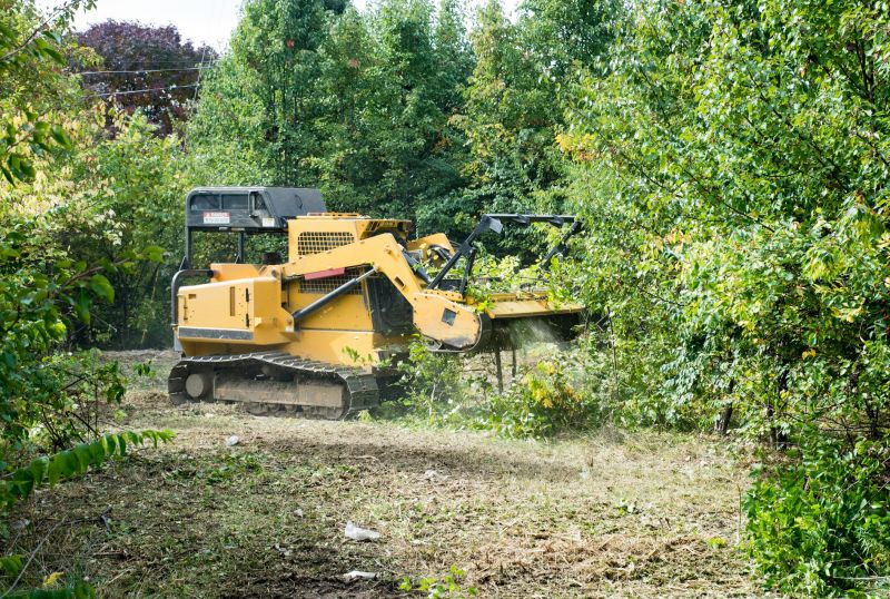 Field Clearing in Cumming, GA