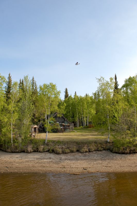 Clearing And Grading Service detail