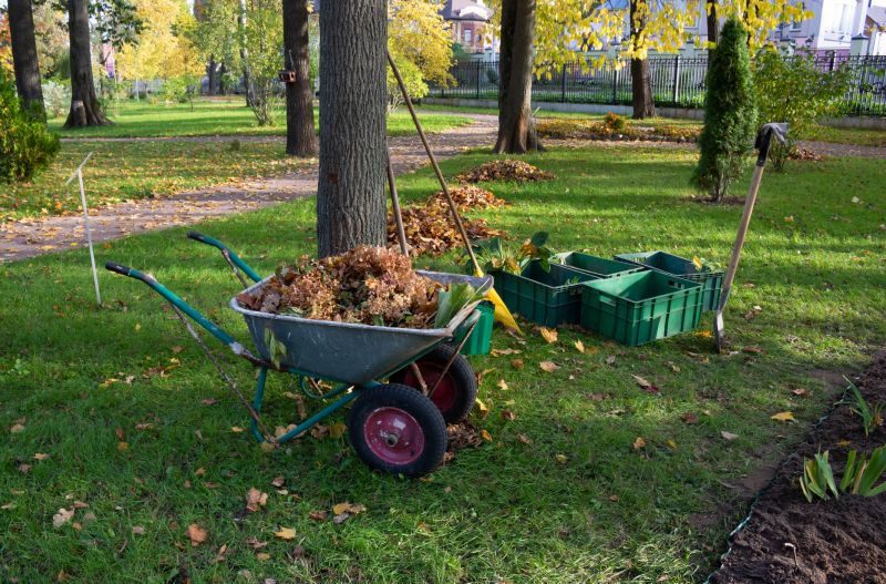 Undergrowth Removal in Utah County, UT